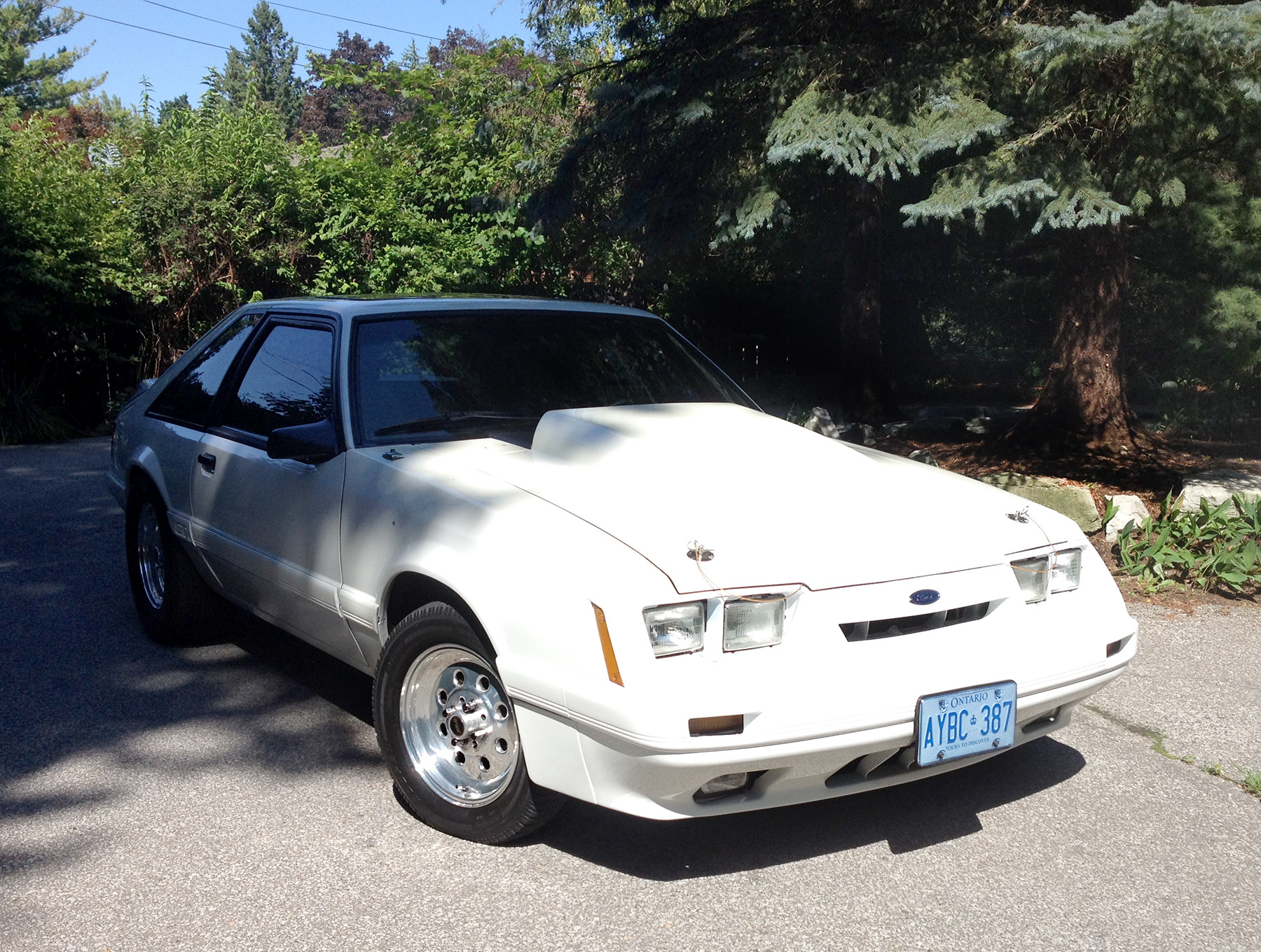 1986 Ford mustang gt sale texas #8